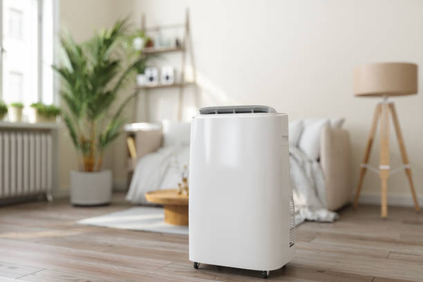 Best Air Filters and Purifiers in Mount Vernon, TX